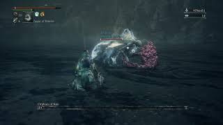 Bloodborne: Good Fun! This Guy Was Save-Scumming NG+6 Orphan Coop
