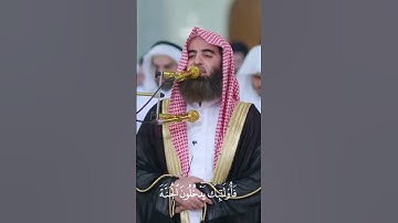 سورة مريم / القارئ: محمد اللحيدان ( فَخَلَفَ مِن بَعْدِهِمْ خَلْفٌ أَضَاعُوا الصَّلَاةَ ) 💔
