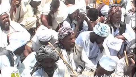 Eritrean News   Tigrigna   Hamelmalo   Medeb Limaat