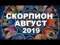 СКОРПИОН. ВАЖНЫЕ СОБЫТИЯ АВГУСТА. ТАРО ПРОГНОЗ НА АВГУСТ 2019 г. Гороскоп на АВГУСТ.