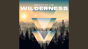 A Wind That Knows No Boundaries