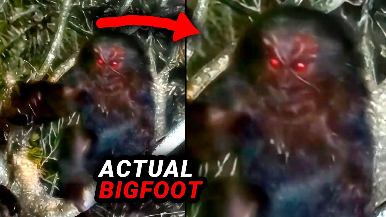 Viral Trail Cam Videos That Disturbed Everyone Online