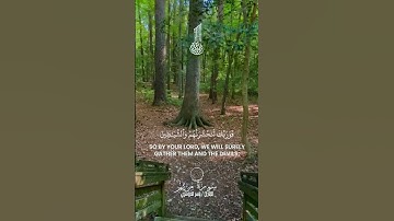 ﴿ ويقول الانسان أإذا ما مت لسوف أخرج حيا ﴾ سورة مريم