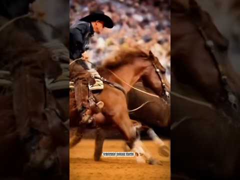 Boyd Rice & My Boots Are Royal — 2025 TAPH Reined Cow Horse Champions