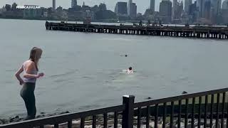 Man rescues dog from Hudson River