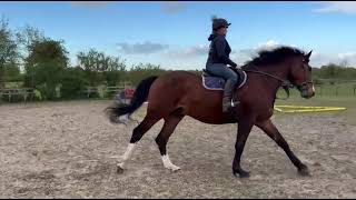 Advert reference - 407963