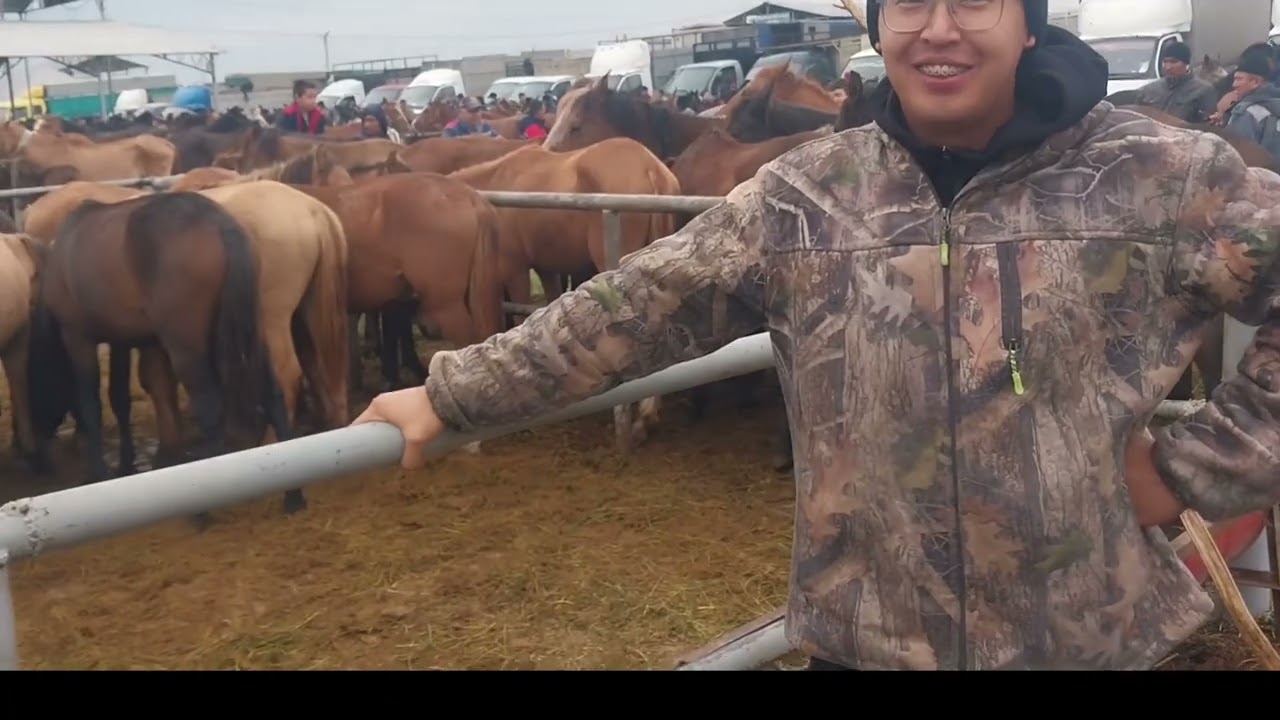 Бүгінгі Тараз мал базарына  3,5🍋 ға  өте биік Айғыр келді