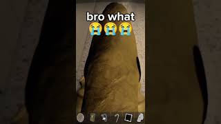 genuinely no clue this could even happen