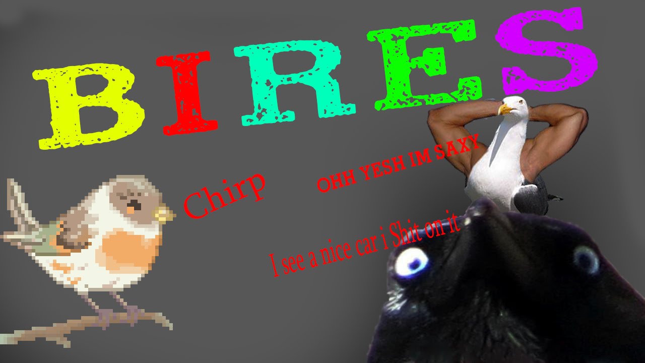 Birdies Game Rev YouTube