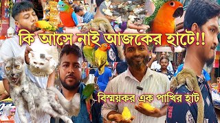 মিরপুর ১ পাখির হাটে পার্সিয়ান বিড়াল, সুগার গ্লাইডার, কাঠবিড়ালি, শালিক | Mirpur 1 Pakhir Hat