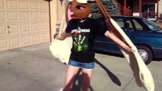 Finished Lopunny!