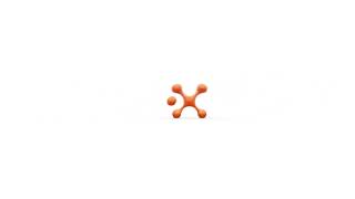 cingular intermission