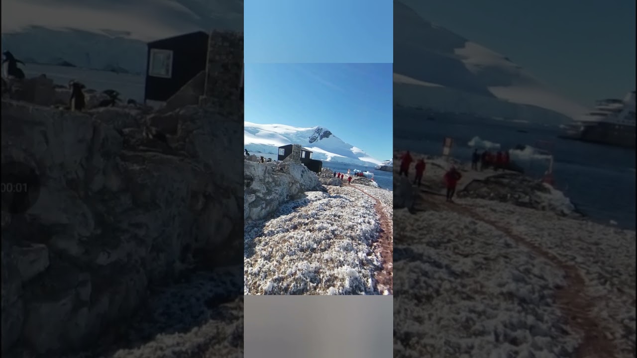 🇦🇶Antarctica Chilean Antarctic Research Station González Videla Base Google Earth 