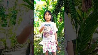 Ciscis Faza Sekali shorts2024