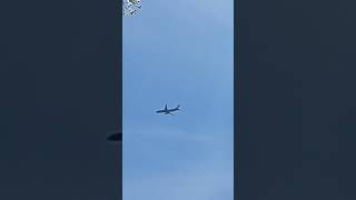 Navy passenger jet Fly here on #whidbey island❤️❤️❤️❤️❤️❤️❤️❤️❤️❤️❤️❤️❤️❤️❤️❤️