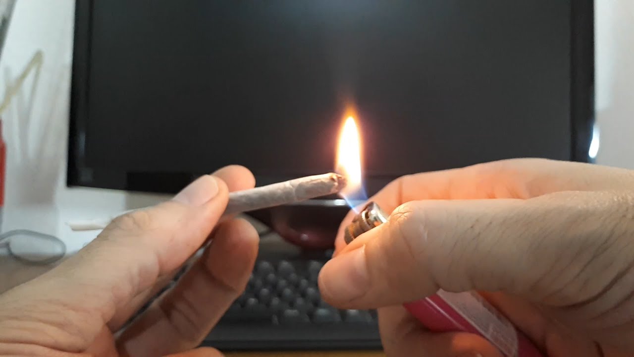 Bolando Baseado, Sonzeira Carburante e mais.