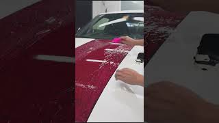 Stylish Film for your Car | STEK India