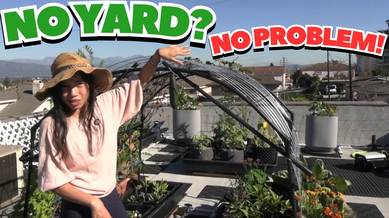Небольшое пространство, большой урожай: как Венди выращивает еду на крыше своего дома.