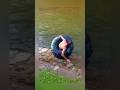 Best Fails Of the Week #funny #failsvideo #fun #fails #trending #viral #shorts