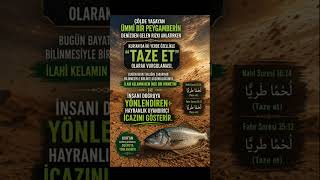 Asırlar Öncesinden Gelen İnce Mesaj⁉️