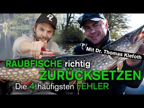 Video: Wie Man Hecht Salzt