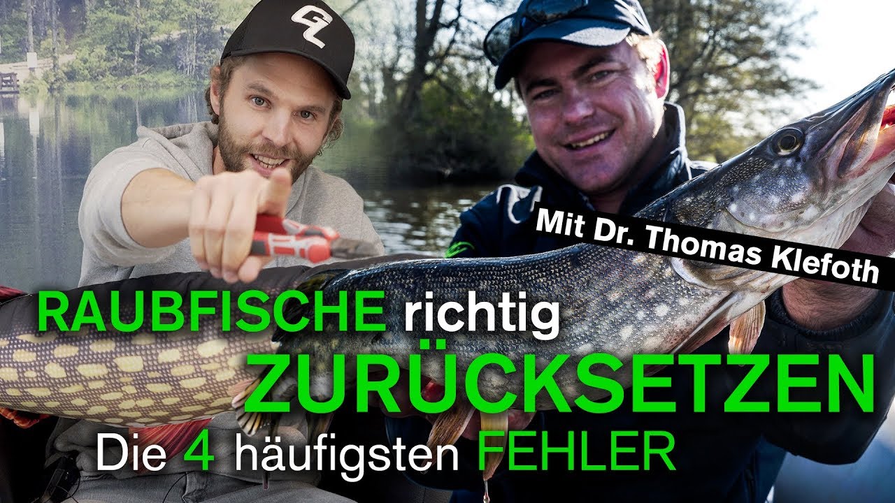 Wasserdichte Angelhandschuhe – Anti-Schnitt Landehandschuh Mit Magnetverschluss – Für Hecht, Zander & Co.