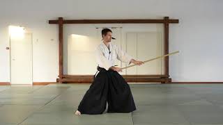 айкидо. базовые движения с дзе - чоку цки | aikido. JO basic movements. choku tsuki