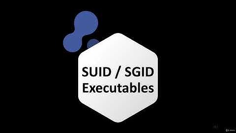 SUID  SGIDExecutables