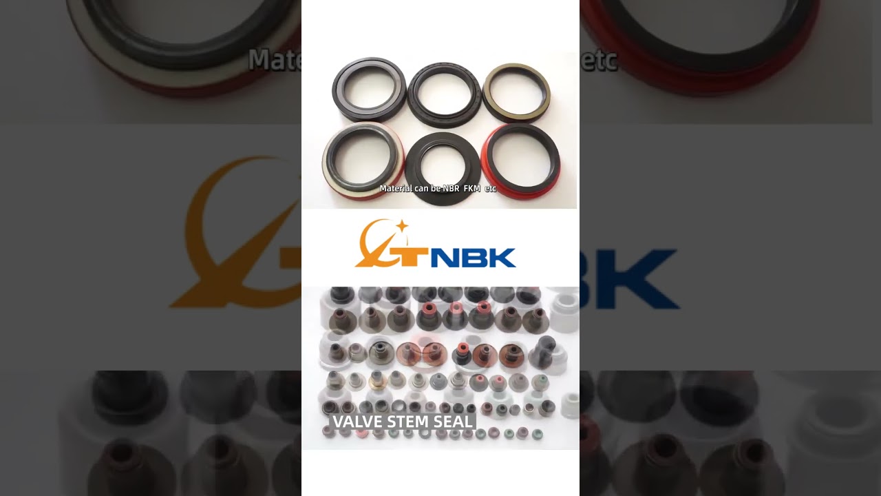 Dive into the world of oil seal with NaiBeike comprehensive showcase!
