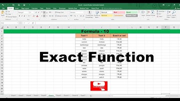 EXACT FUNCTION I Formula -10 I excel tips and tricks #shorts #viral #excelformulaseries #techiskills