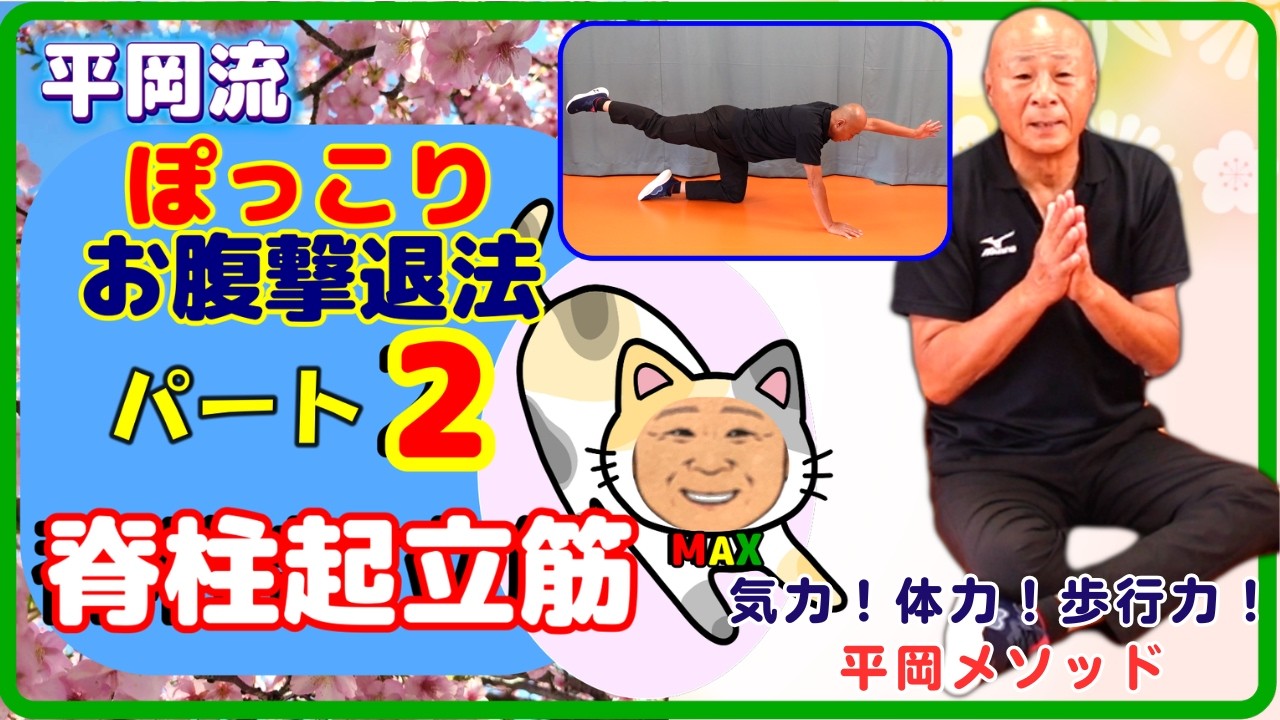 平岡流ぽっこりお腹撃退法パート2～脊柱起立筋～#脊柱起立筋#ストレッチ#腹直筋#背筋#体幹#姿勢改善#腰痛予防#ネコちゃん体操#ダイアゴナル