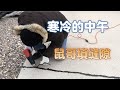 温尼伯今天2度：鼠哥填补缝隙，车道扛不住极寒冬天出现什么状况