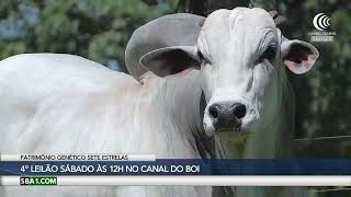 Canal do Boi - entrevista Leilão Patrimônio Genético