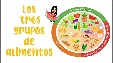 ¿Cuáles son los 3 tipos de alimentación?