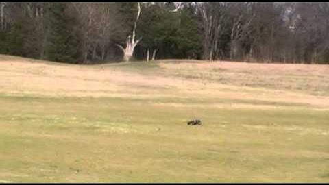 Twin Hammers Brushless Run