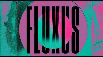 Django Django - Fluxus (Official Visualiser)