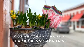 Проект «Тайная коробочка» / Готовые носочки / Плечевое в процессе / Выиграла пряжу