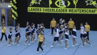 Blue Devils Meisterschaft 2017