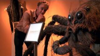 Draco Malfoy Aka Tom Felton