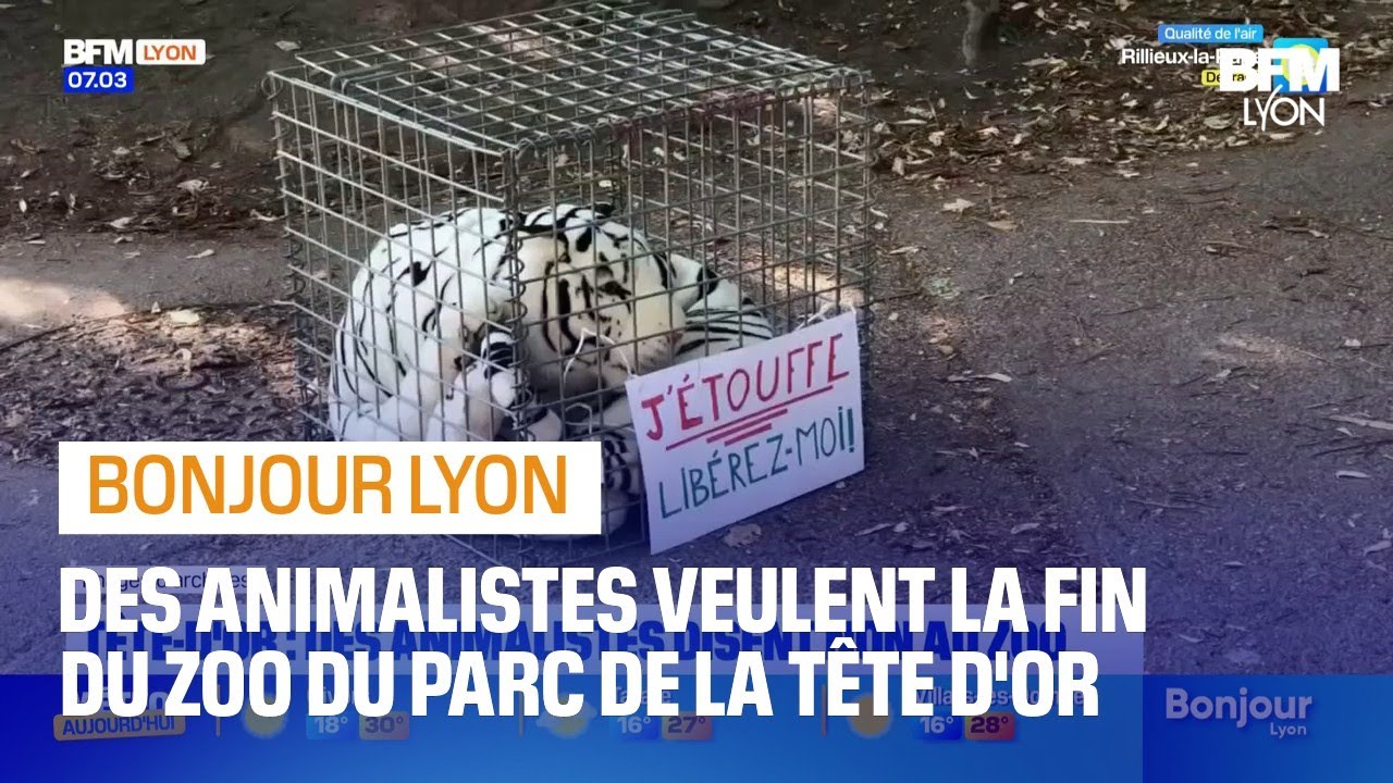 Lyon: des animalistes demandent la fermeture du zoo du parc de la Tête-d'Or