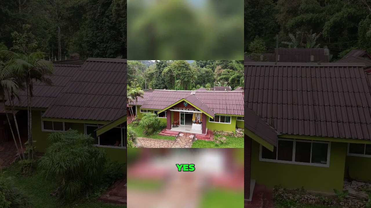 Can You REALLY Fly Drones in Thailand's National Parks?