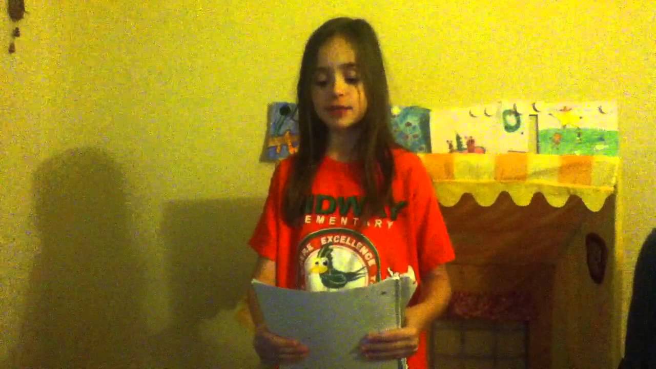 My cat poem 