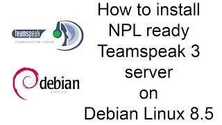 How to install Teamspeak 3 server on Debian Linux