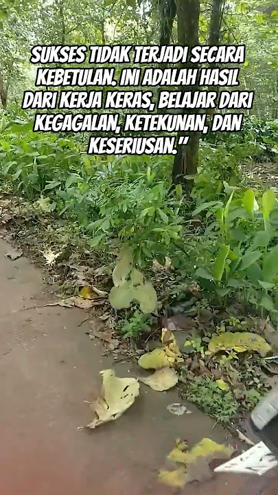 jika ingin sukses bekerja keraslah#katakatabijak #kuncisukses #katakatamotivasi #shortvideo #