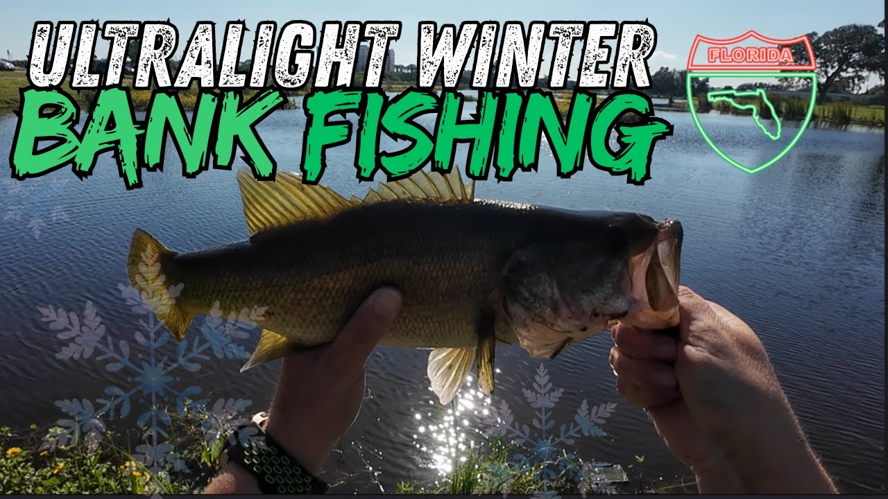 Ultralight Bank Fishing in FL December 2025 #bassfishing