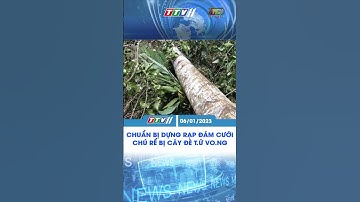 CHUẨN BỊ DỰNG RẠP ĐÁM CƯỚI, CHÚ RỂ BỊ CÂY ĐÈ T.Ử VO.NG #shorts #shortvideo