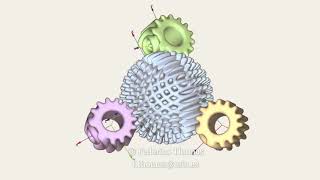 Simulation of a spherical gear