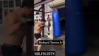 Richard Torres Jr #boxing#boxeo#boxe#punch#combo#heavybag#heavybagworkout#boxingtraining#training