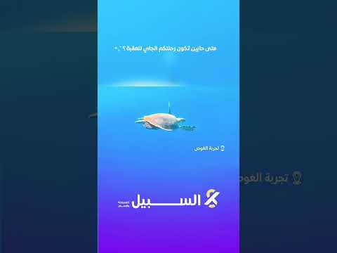 استمتع في اجمال الفعاليات في العقبة مع شركة السبيل للسياحة والسفر 0792504000