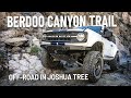 Off-Road in Joshua Tree: Berdoo Canyon Trail